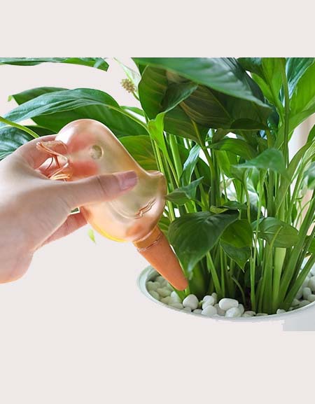 Load image into Gallery viewer, Bird-AutoDrip Your Smart Home Garden Watering Solution

