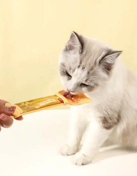 Cat feeder, cat feeding device, food spoon, for pets Zydropshipping