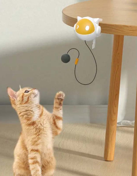 Interactive Cat Teaser Toy with Hands-Free Rising Ball.-Zy Fulfill