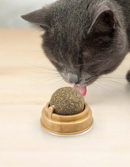 Whisker Whirl: Catnip Spin & Lick Ball with Natural Grass for Dental Health & Delight