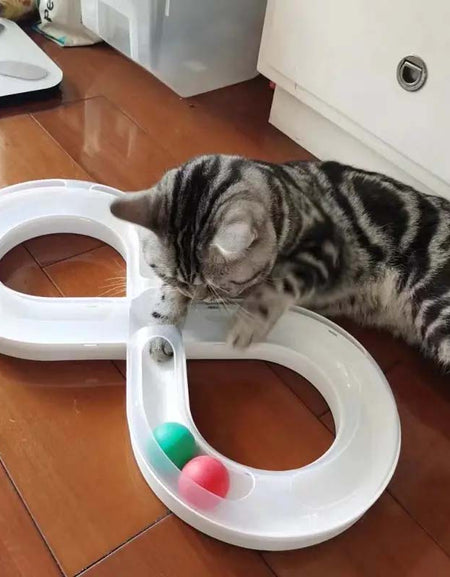 Interactive Cat Turntable Toy - Durable, Self-Entertainment for Indoor Cats Kittens.-Zy Fulfill