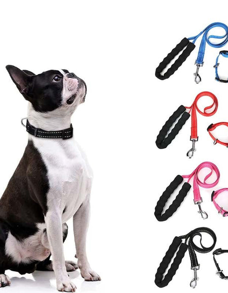 Marshmallow Dog Leash-Zy Fulfill