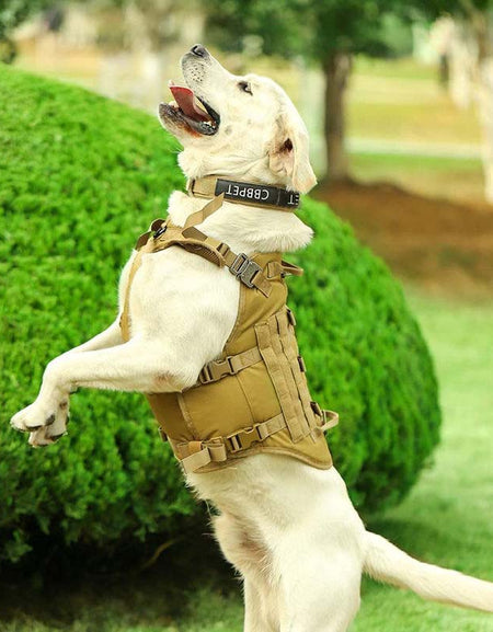 Reflective Tactical Dog Harness with Molle & No-Pull Design-Zy Fulfill