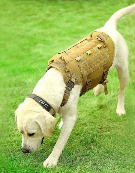 Reflective Tactical Dog Harness with Molle & No-Pull Design-Zy Fulfill