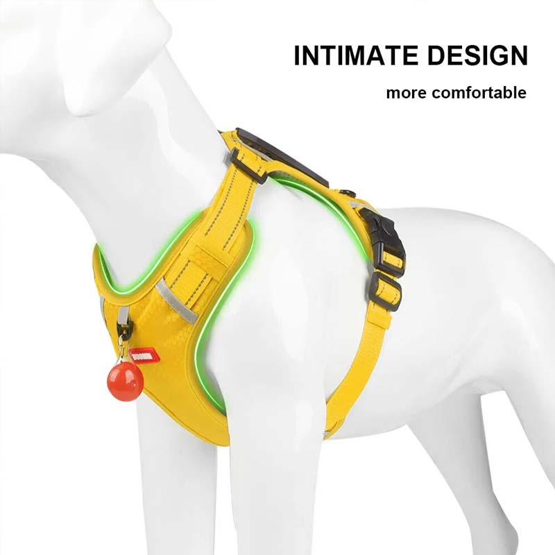 ElasticPaws Dog Leash: Premium Elastic Leads Rope for Safe and Comfortable Walks Zydropshipping