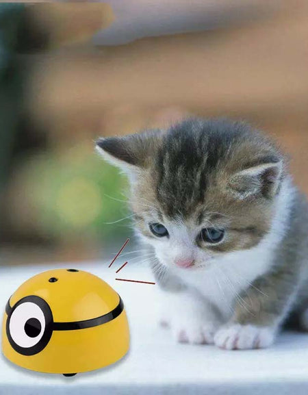 Interactive Intelligent Escaping Toy for Pets and Kids-Zy Fulfill