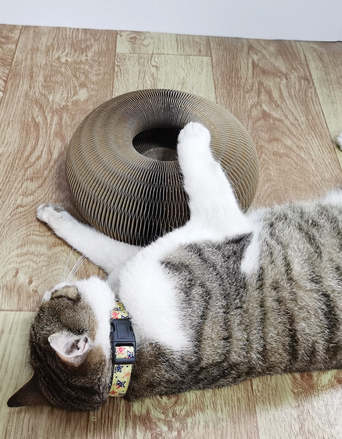 Load image into Gallery viewer, Foldable Cat Scratcher - 2-in-1 Fun Design Zydropshipping
