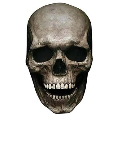 Load image into Gallery viewer, Realistic Full Head Skull Mask – Ultimate Halloween Costume Accessory
