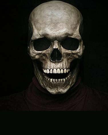 Load image into Gallery viewer, Realistic Full Head Skull Mask – Ultimate Halloween Costume Accessory
