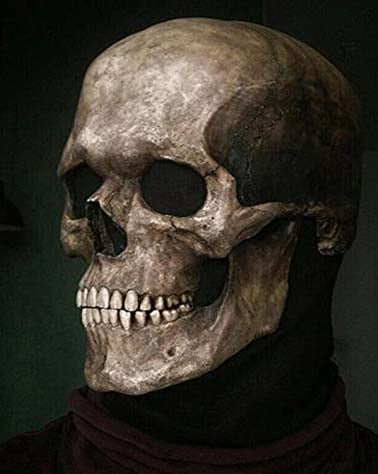 Load image into Gallery viewer, Realistic Full Head Skull Mask – Ultimate Halloween Costume Accessory
