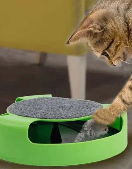 Interactive Cat Toy - Durable Colorful, and Fun-Zy Fulfill