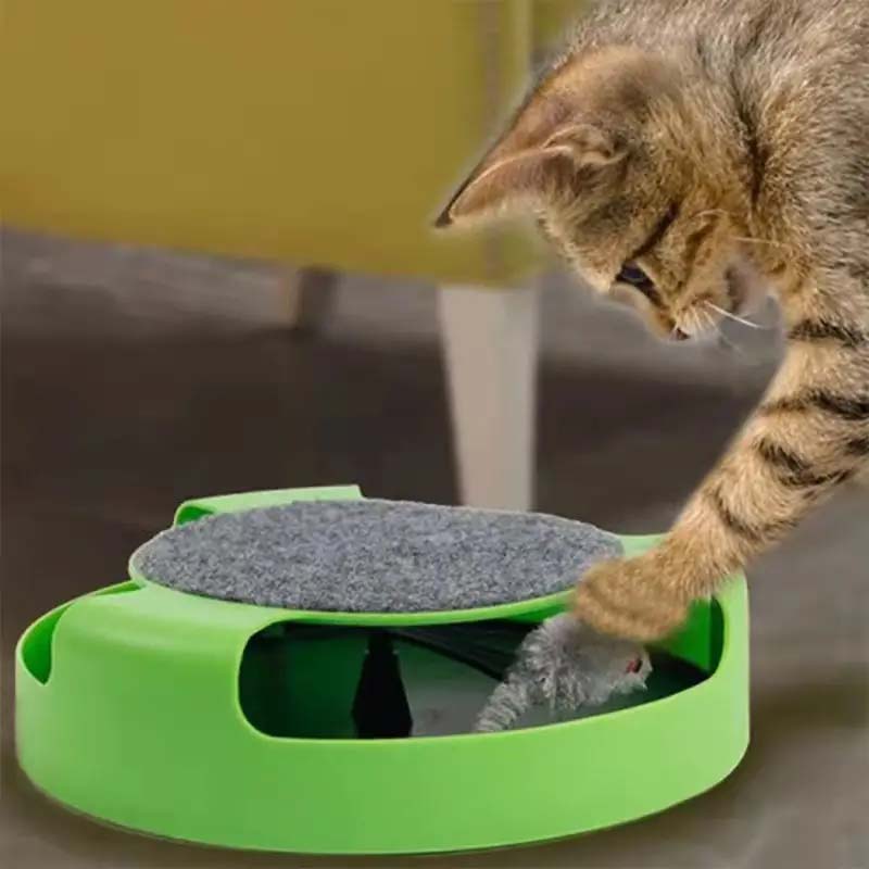 Interactive Cat Toy - Durable Colorful, and Fun