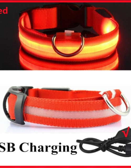 Load image into Gallery viewer, LightPup LED Dog Collar: Night Safety for Small Pets. Zydropshipping
