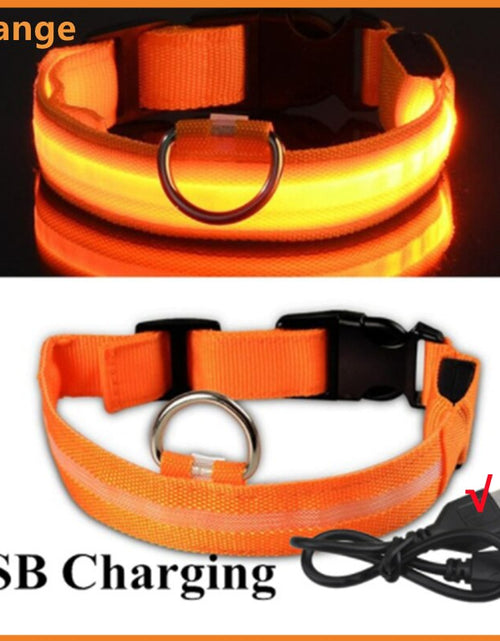 Load image into Gallery viewer, LightPup LED Dog Collar: Night Safety for Small Pets. Zydropshipping
