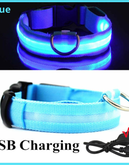 Load image into Gallery viewer, LightPup LED Dog Collar: Night Safety for Small Pets. Zydropshipping
