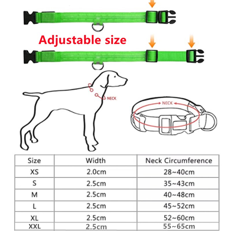 LightPup LED Dog Collar: Night Safety for Small Pets. Zydropshipping