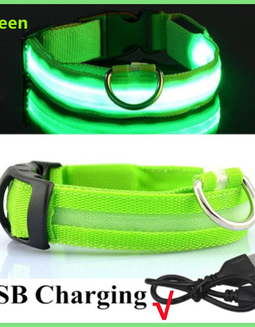 Load image into Gallery viewer, LightPup LED Dog Collar: Night Safety for Small Pets. Zydropshipping
