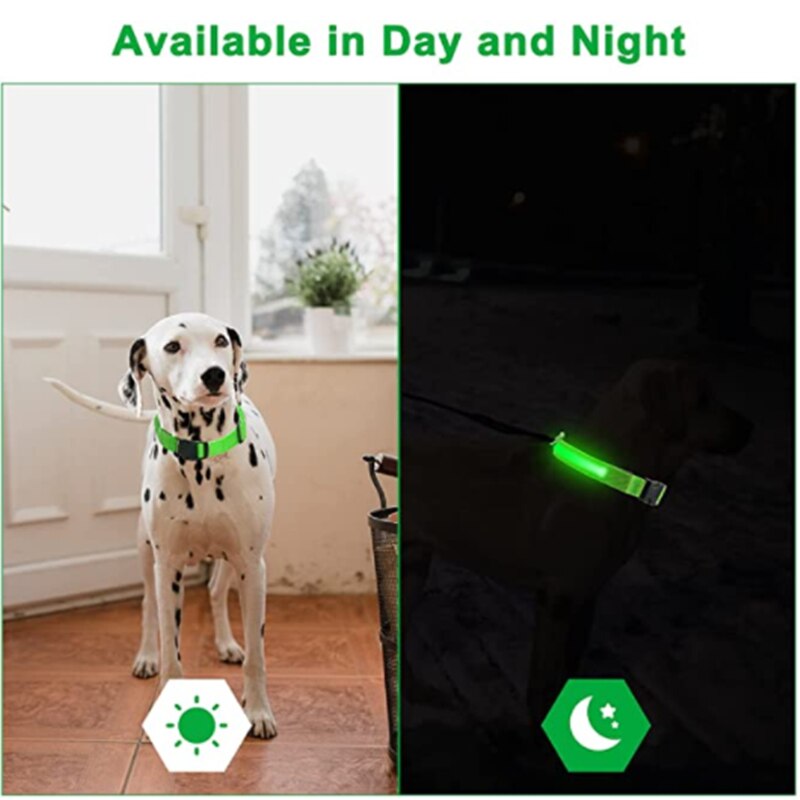 LightPup LED Dog Collar: Night Safety for Small Pets. Zydropshipping