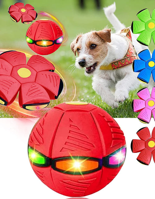 Load image into Gallery viewer, Magic Saucer Dog Toy: Interactive Fun for All Sizes Zydropshipping
