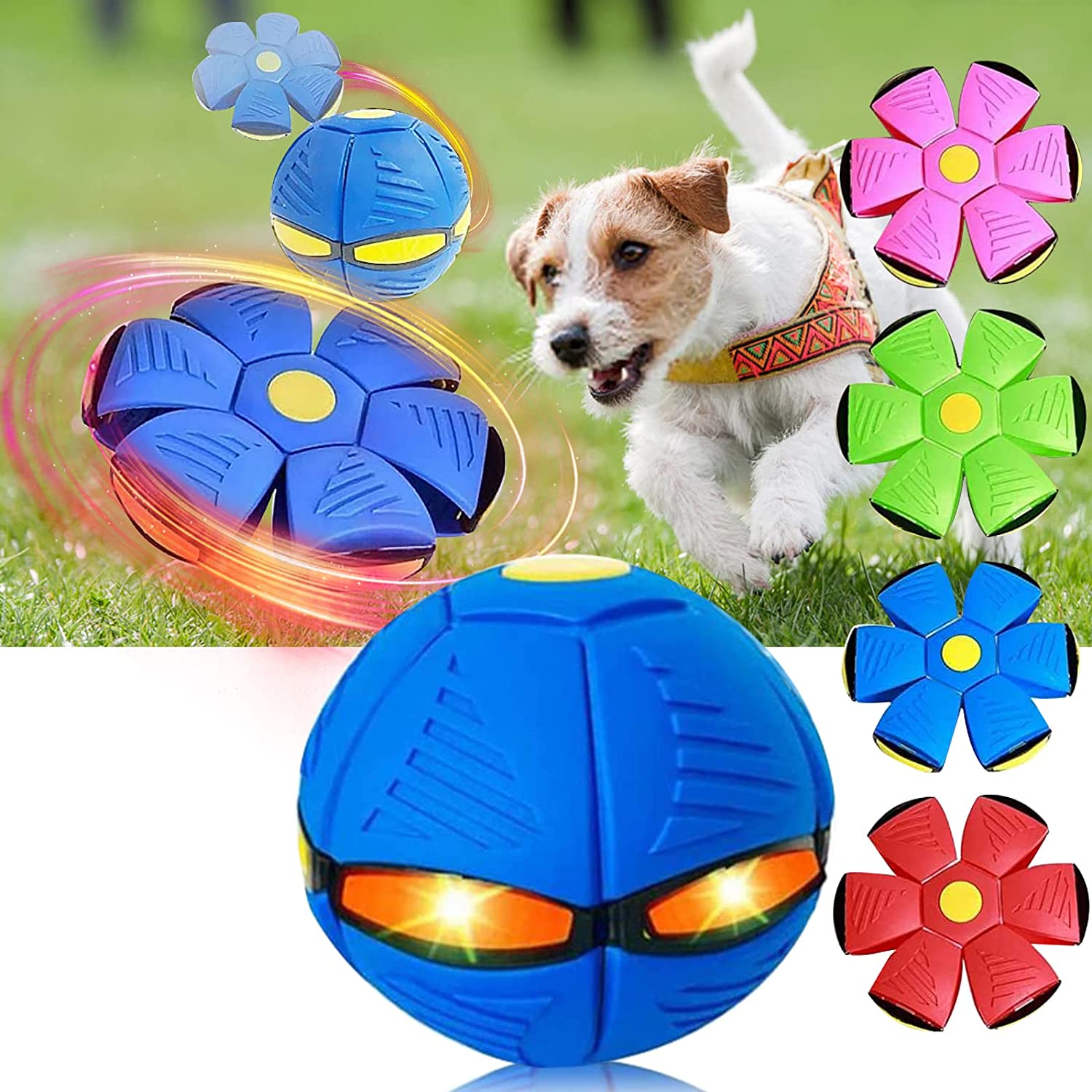 Magic Saucer Dog Toy: Interactive Fun for All Sizes Zydropshipping