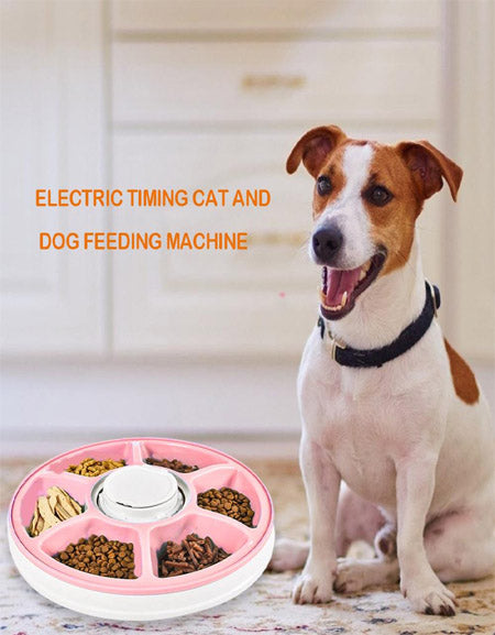 Load image into Gallery viewer, PawsPal Electric Pet Feeder: Automated Cat and Dog Feeding Machine for Happy and Healthy Pets Zydropshipping
