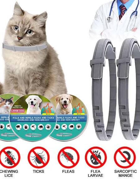 Flea and Tick Collar Adjustable for Dogs and Cats-Zy Fulfill