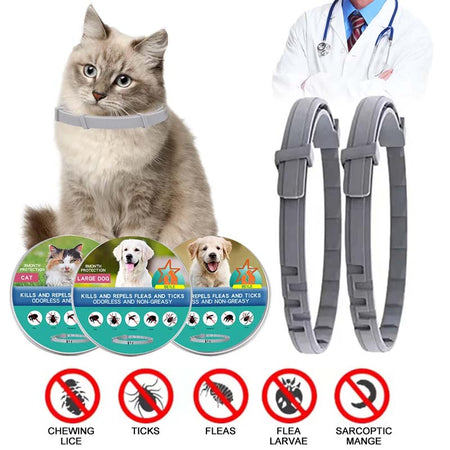 Flea and Tick Collar Adjustable for Dogs and Cats-Zy Fulfill