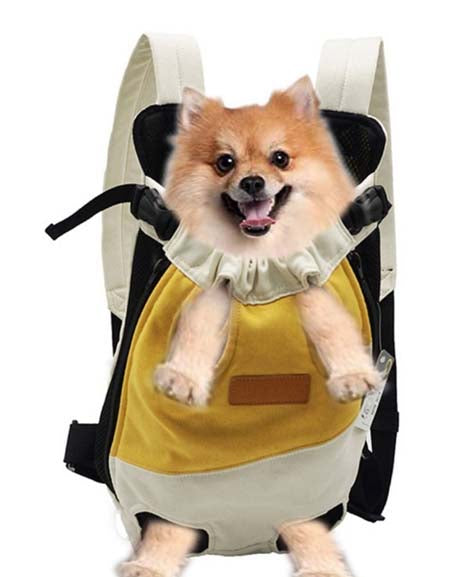 Pet Backpack-Zy Fulfill