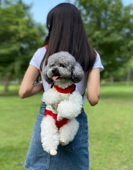 Pet Backpack-Zy Fulfill