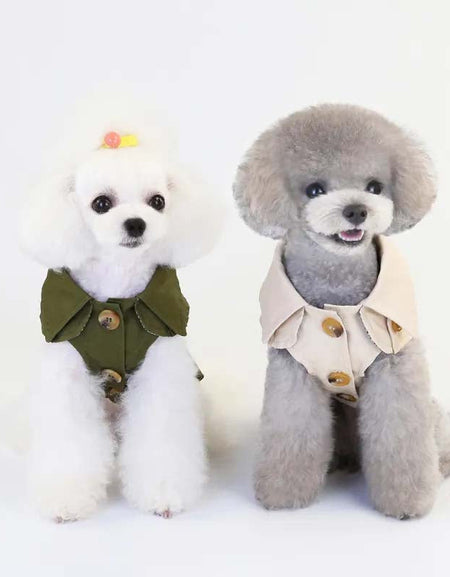 Pets Clothing Selection-Zy Fulfill