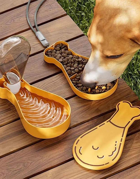 Chicken Leg Travel Water & Food Box-Zy Fulfill