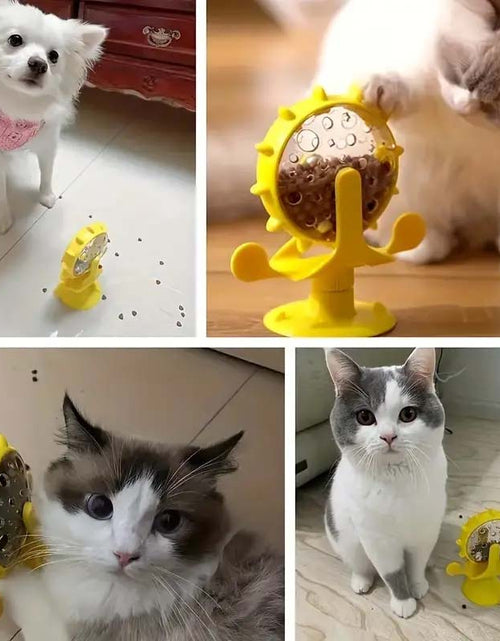 Load image into Gallery viewer, SmartCat IQ Boosting Puzzle Feeder
