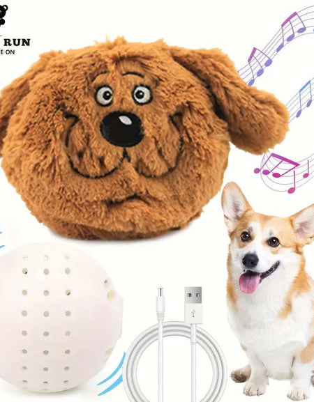 Teddy Run Monster Active Ball - Interactive Dog Toy-Zy Fulfill