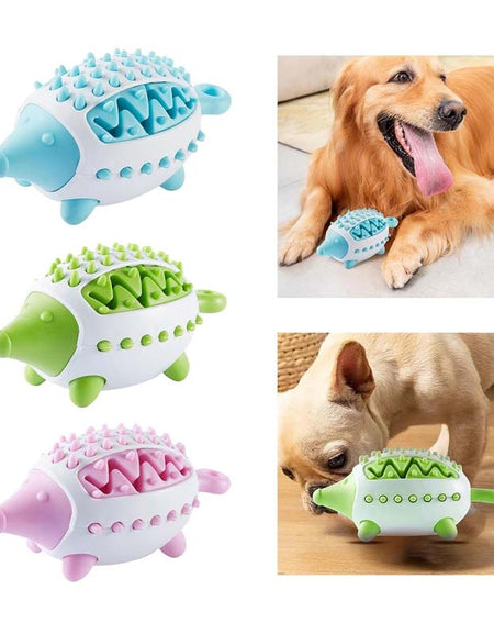 Blue IQ Training Pet Treat Ball - Bite Resistant Rubber Chew Toy-Zy Fulfill