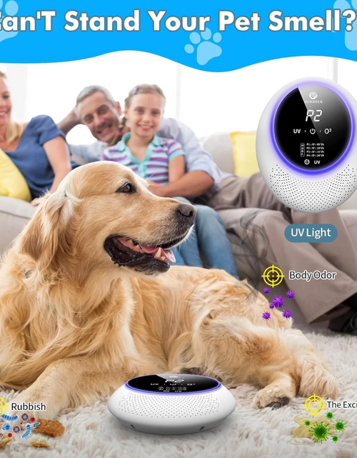 Load image into Gallery viewer, Portable Cat Litter Deodorizer with 10,000mAh Battery
