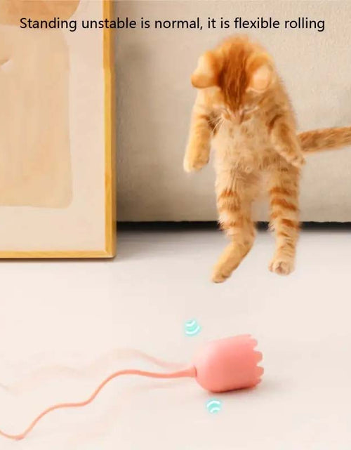 Load image into Gallery viewer, Whimsical Cartoon Pet Toy - Auto-Rotating Magic Tail, USB Rechargeable
