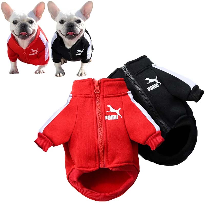 Winter Dog Jacket for Small & Medium Breeds