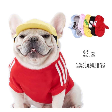 Winter Dog Jacket for Small & Medium Breeds-Zy Fulfill