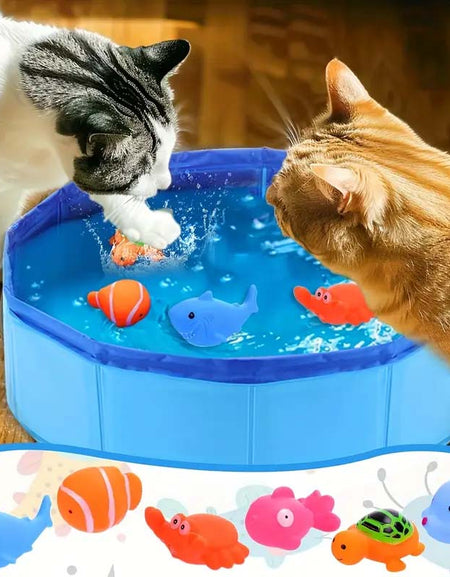 Interactive Cat Water Play Pool with Floating Toys-Zy Fulfill