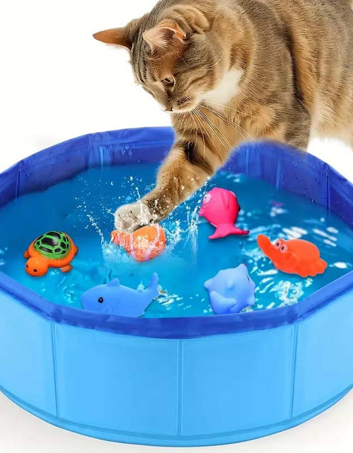 Load image into Gallery viewer, Interactive Cat Water Play Pool with Floating Toys
