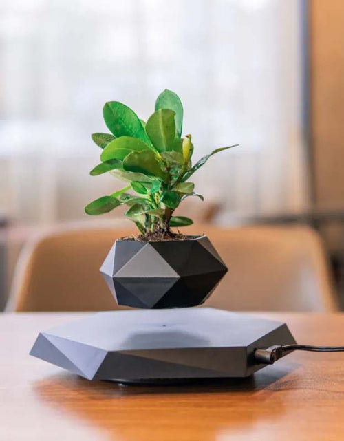 Load image into Gallery viewer, Floating Magnetic Levitating Air Plant Pot – Creative Home &amp; Office Decor
