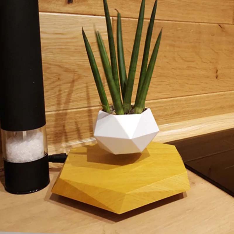 Floating Magnetic Levitating Air Plant Pot – Creative Home & Office Decor