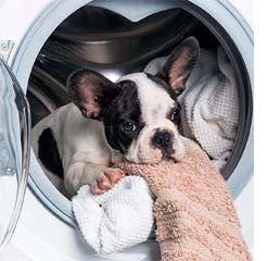 Load image into Gallery viewer, Reusable Hair Catcher Balls for Washing Machines
