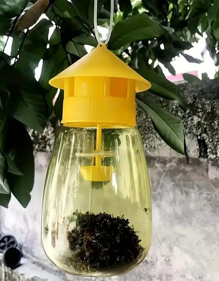 Reusable Non-Toxic Fruit Fly Trap - No Batteries Needed | Eco-Friendly Pest Control-Zy Fulfill