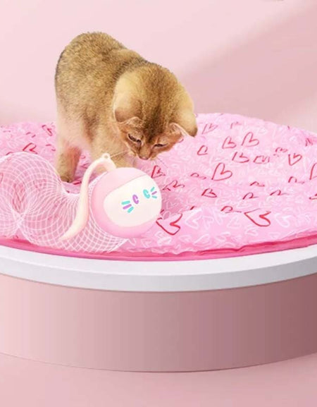 Automatic Smart Fitness Training Pet Cat AI Toy - Luminous LED Magic Ball-Zy Fulfill