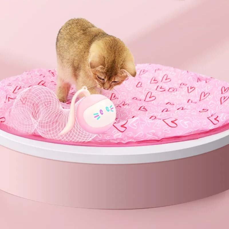 Automatic Smart Fitness Training Pet Cat AI Toy - Luminous LED Magic Ball