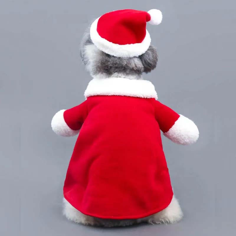 Pet Christmas Standing Costume – Festive Holiday Outfit for Pets