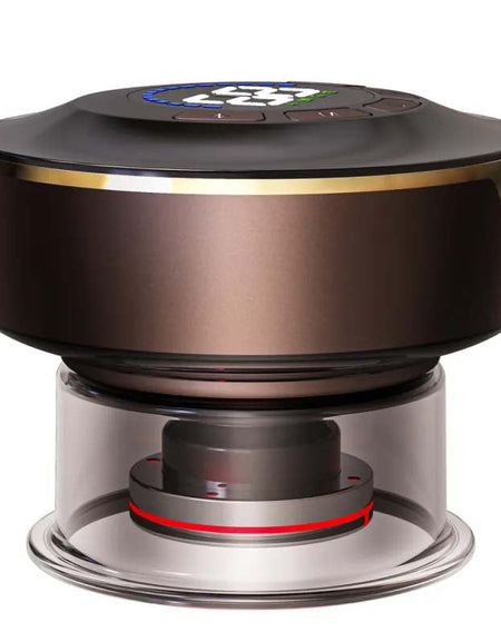 A Multifunctional Facial Therapy Device-Zy Fulfill