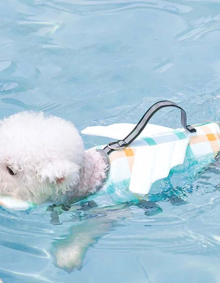 Dog Life Jacket – Small, Medium & Large Pet Swim Vest-Zy Fulfill