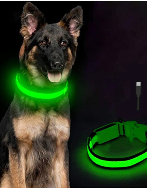 Load image into Gallery viewer, LightPup LED Dog Collar: Night Safety for Small Pets. Zydropshipping
